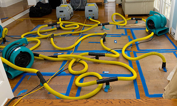 Professional Basement Flood Cleanup technician working in Geneva, NY